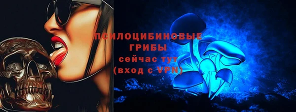 спайс Ладушкин