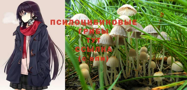 спайс Ладушкин