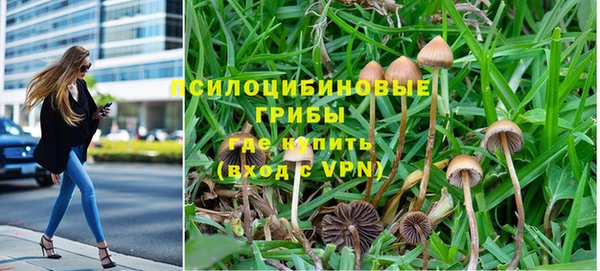 спиды Лабытнанги