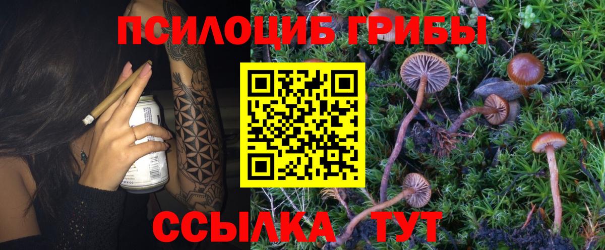 Псилоцибиновые грибы мицелий Хасавюрт