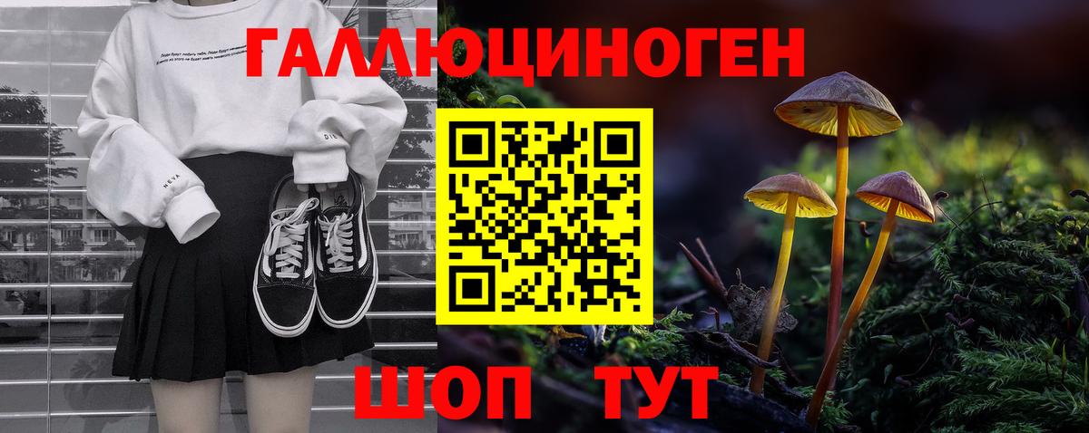 Псилоцибиновые грибы Psilocybe  Псилоцибиновые грибы Psilocybine cubensis  Вход с VPN  Хасавюрт 